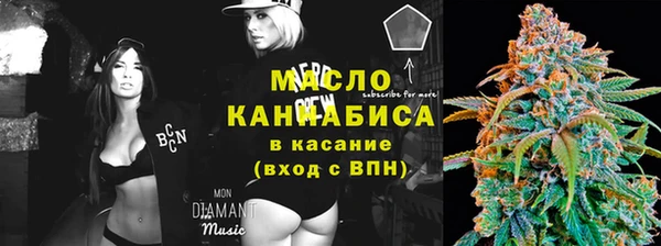 винт Абаза