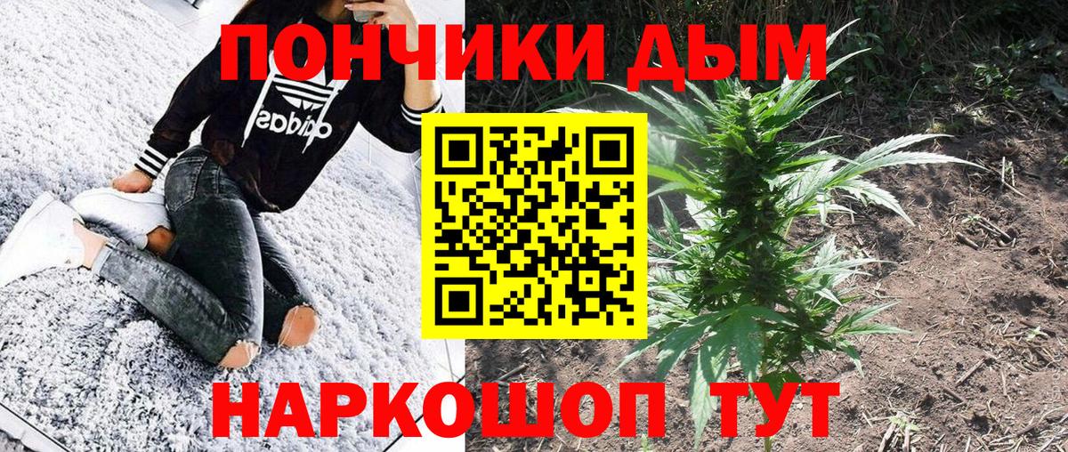 Астрахань  Канабис сатива  Вход с VPN  Канабис гибрид  МАРИХУАНА конопля 